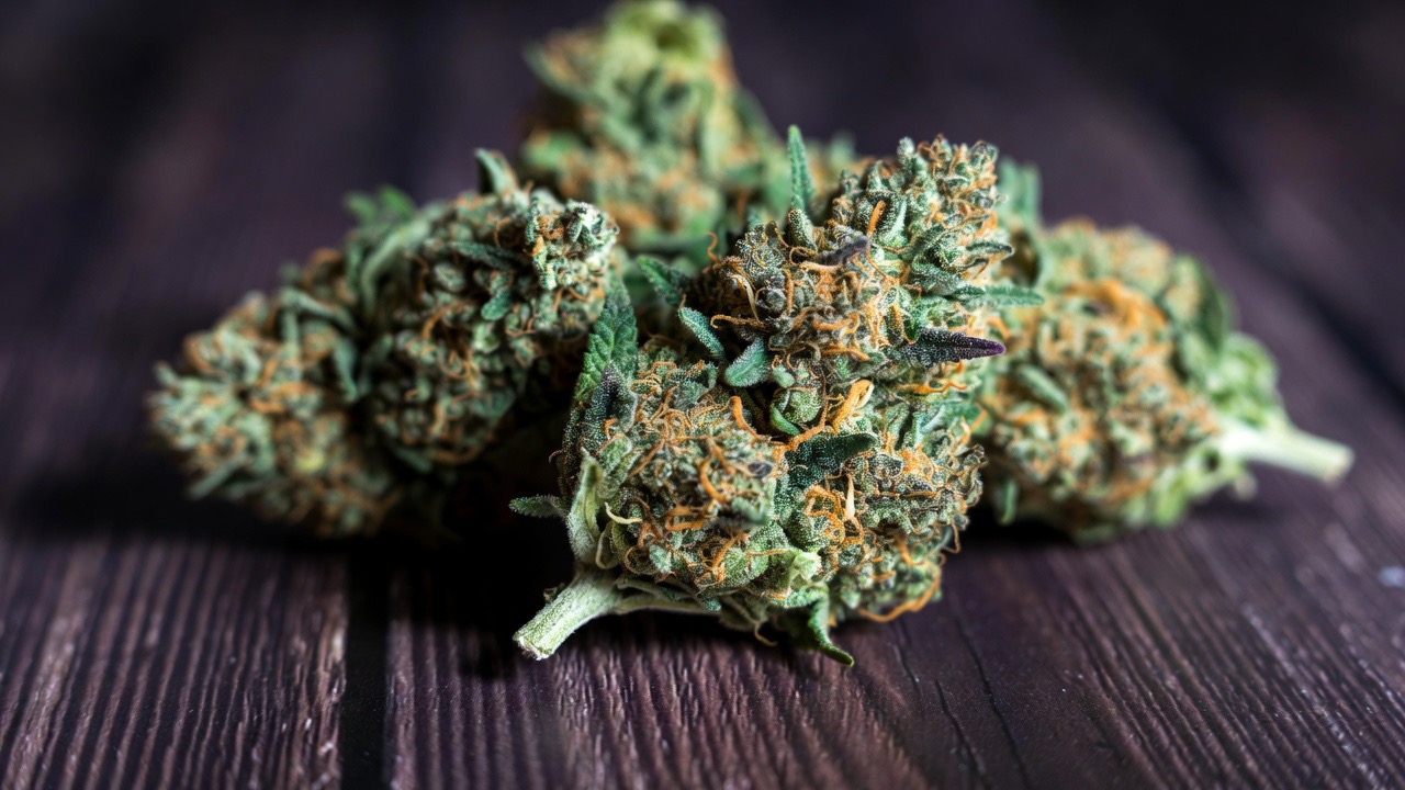 **OG Kush: The Classic West Coast Strain That Set the Standard** - Cannabis Blog